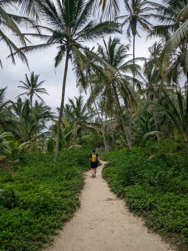 Persoon die loopt tussen de palmbomen in Colombia
