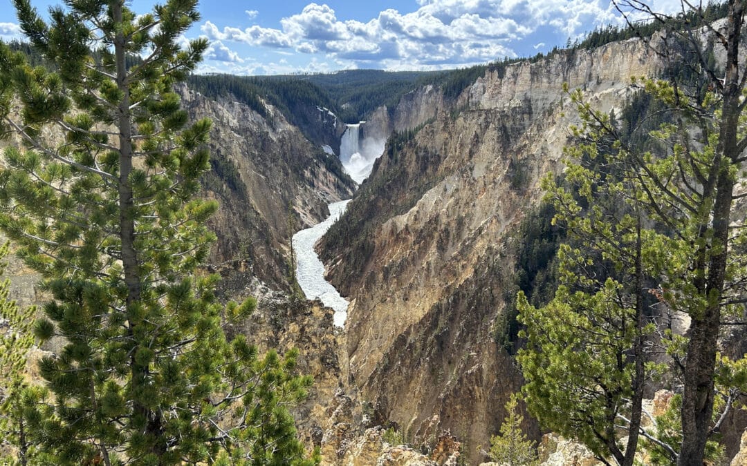 Tips en tricks voor Yellowstone National park