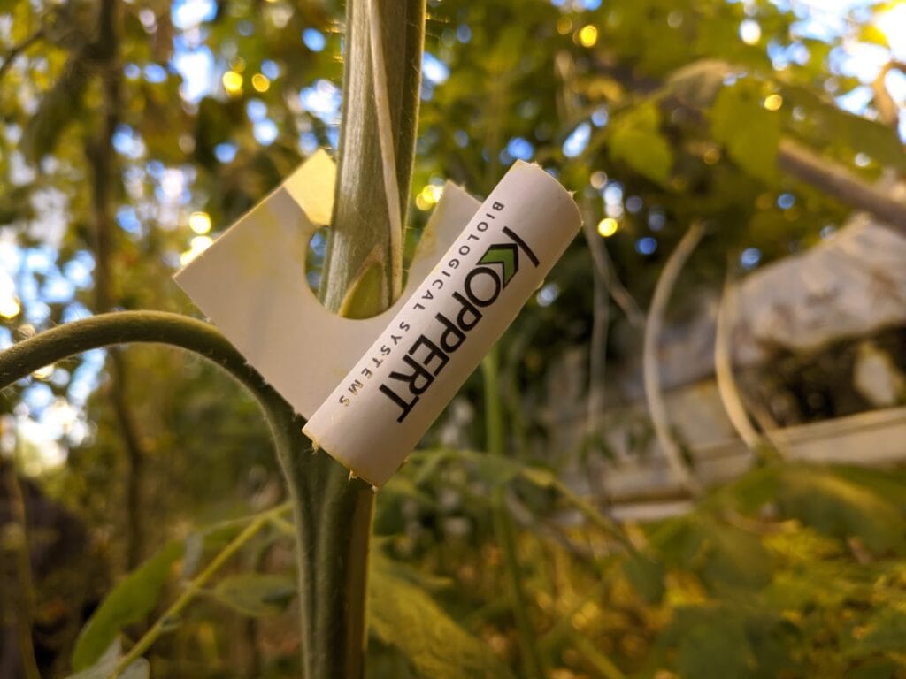 Fridheimar Biologische Bestrijding